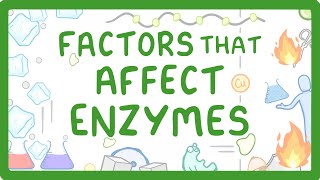 GCSE Biology  Enzymes  How Temperature and pH Affect Rate of Reaction [upl. by Mellisa354]