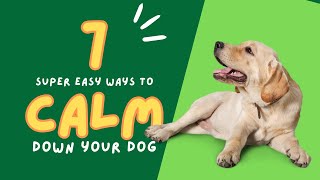 7 easy ways to calm down your overexcited dog or puppy Dog training made easy [upl. by Einnel]