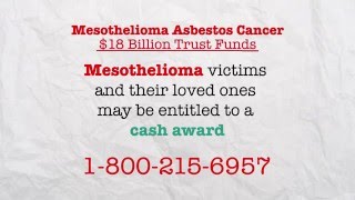 Mesothelioma Asbestos Cancer 18002156957 [upl. by Anade]