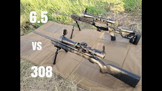 308 vs 3006 – Best for Big Game BALLISTIC GEL TEST [upl. by Oakman992]