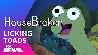 The Boys Try Licking A Toad  Season 1 Ep 6  HouseBroken [upl. by Rufena]