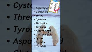 Polar vs NonPolar Amino Acids Natures Yin and Yang aminoacids biochemistry [upl. by Brenn]