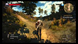 Enhanced Feline Steel Sword Location The Witcher 3 [upl. by Fong]