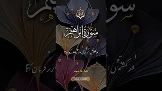 Tilawat Quran Urdu translation Surah Ibrahim [upl. by Ellenaej]