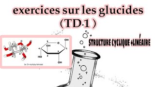 les glucides  série dexercice TD1 structure cyclique et linéaire [upl. by Croner377]