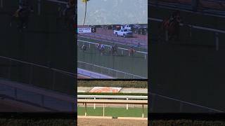 santaanitapark horsetrack gambling [upl. by Chelsea]