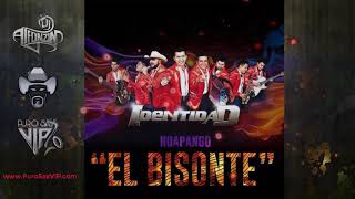 Grupo Identidad  Huapango el Bisonte  2019 [upl. by Swart280]