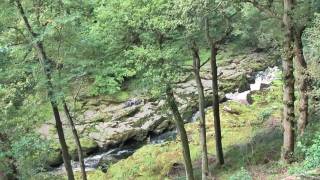 Bolton Abbey in the Yorkshire Dales [upl. by Robena]