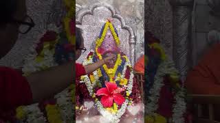 Mayer Payer Joba🌺 New Shyama Sangeet devotional 2024 shorts diwali kalipuja2024 kalipuja2024 [upl. by Yate]