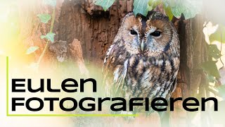 Eulen finden amp fotografieren  Tutorial [upl. by Htenaj526]