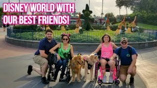 🐾 Two Service Dogs at Disney First Time in Toy Story Land 😎 [upl. by Singer]