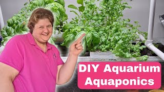 EASY Fish Tank Aquaponics Build for ANY size Tank  Start to Finish [upl. by Ecienahs]