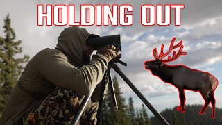 BACKCOUNTRY ELK HUNT Horse Drop Camp [upl. by Barna436]