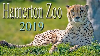 Hamerton Zoo 2019 [upl. by Pearle891]