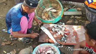 Bermodalkan Umpan Ikan merawai siang hari dapat Ikan Besar [upl. by Eniamej192]