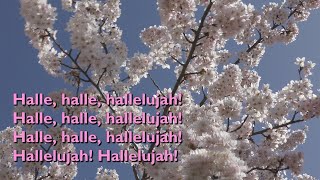 Halle Halle Hallelujah with lyrics for congregations [upl. by Hosbein]