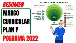 Resumen COMPLETO plan y programas de estudio 2022 [upl. by Ynaffets]