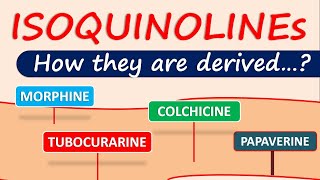 Isoquinoline alkaloids and drugs  How they are derived in plants [upl. by Dnomasor]