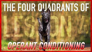 Understanding The Four Quadrants of Operant Conditioning Dog Training [upl. by Claybourne]