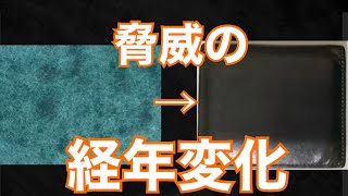 レンマ lemma マリスコ ペトローリオ レビュー 革財布 レンマ lemma マリスコ ペトローリオ プエブロレザー コンパクト財布 ココマイスター メンズ財布 レザーアイテム [upl. by Eaj]