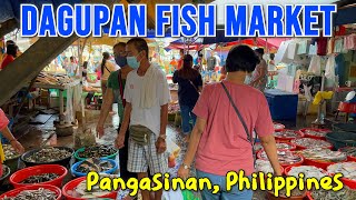 DAGUPAN CITY FISH MARKET 2023 TOUR  Seafood Price Update in Pangasinans Biggest Seafood Market [upl. by Ottilie]