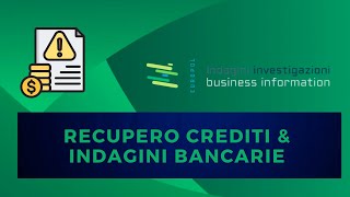 🔍💸 RECUPERO CREDITI amp INDAGINI BANCARIE 💼🔎 [upl. by Gemini]