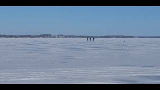 Lake Scugog Update for Sunday January 21 2024 [upl. by Ilzel]