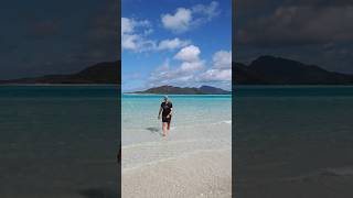 Whitsundays Cruise Whitehaven Beach and Great Barrier Reef Snorkeling [upl. by Enelez]