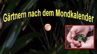 Gärtnern nach Mondkalender 2024  Gartenarbeit nach Sternzeichen amp Mondphasen  Mondgarten [upl. by Icak]