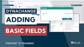 How to add basic Dynachange Fields in Prophet 21 in ten steps 🏗️🧰 [upl. by Sisenej]