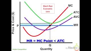 Perfect Competition  What You Must Know in 4 Minutes  Microeconomics [upl. by Eirod]