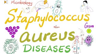 Staphylococcus Aureus Diseases  Skin Toxic Shock Syndrome Food 🥘 poisoning ☠️  Microbiology 🧫 [upl. by Philps]