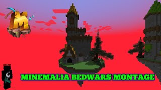 19 BEDWARS MONTAGE [upl. by Arodoet]