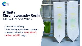 Affinity Chromatography Resin Market Report 2024 Global Edition [upl. by Camey]