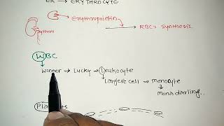 Blood Cells  Blood  3  RBC  WBC  Platelets  Pharma Notes  V V Bopinwar [upl. by Annadiane247]