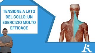 Tensione a lato del collo un esercizio molto efficace [upl. by Lletnohs]