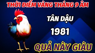 THẦY TỬ VI BẬT MÍ SỰ XUẤT HIỆN DẤU HIỆU VÀNG TRONG THÁNG 9 ÂM LỊCH TUỔI TÂN DẬU 1982 QUẢ NÀY GIÀU [upl. by Ahsenor279]