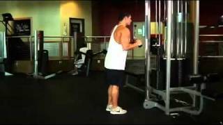 Triceps  Triceps Pushdown  VBar Attachment Exercise Guide [upl. by Nemaj768]