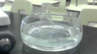 STS Supersaturation Lab Demo by Mr N [upl. by Anirahtak858]