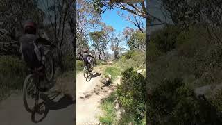 Shredding Cannonball Thredbo mtb Thredbo marinbikes [upl. by Aihsinat902]