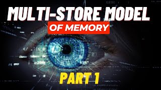 MultiStore Model of Memory  Part 1  AQA Psychology [upl. by Enelloc]