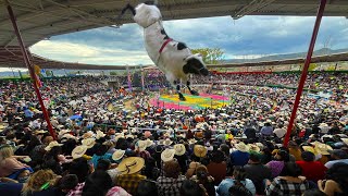 ¡LOS DESTRUCTORES Y CHUY LIZARRAGA EN LOS SONES JARIPEO EN COPANDARO DE GALEANA MICHOACAN 2024 [upl. by Lynden]