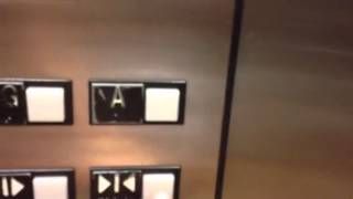 Otis series 1 elevator at Sheraton vistana villages Orlando [upl. by Notniw]