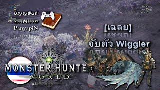 เฉลย MHW  จับตัว Wiggler [upl. by Gamin164]