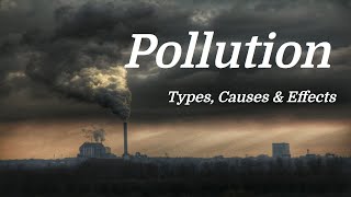 Pollution Mini Documentary Types  Causes  Effects [upl. by Dace]