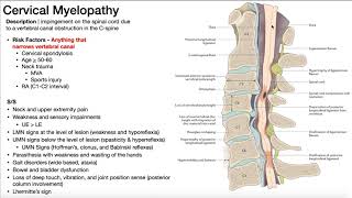 Cervical Myelopathy  Presentation Risk Factors amp SignsSymptoms [upl. by Ibrad]