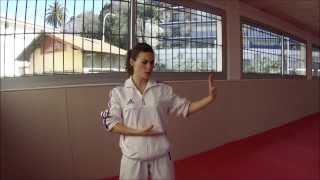 Heian Nidan  Karate Training Sonia Fiuza [upl. by Apollus]