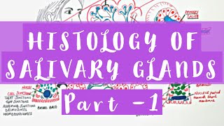 Histology of Salivary Glands  Part 1 [upl. by Alroy859]