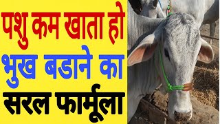 पशु की भूख कैसे बढाऐ।How To Increase Digestion Of Animal।Cow Buffalo।Dairy Farming Information hindi [upl. by Akili]