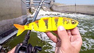 Swimbait Fishing For Spillway BEASTS [upl. by Riki]